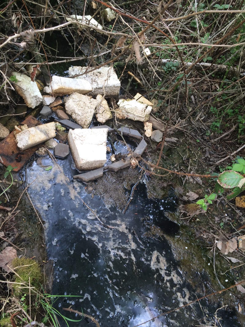 Toxic sewage waste illegal dumping site Bradner BC 