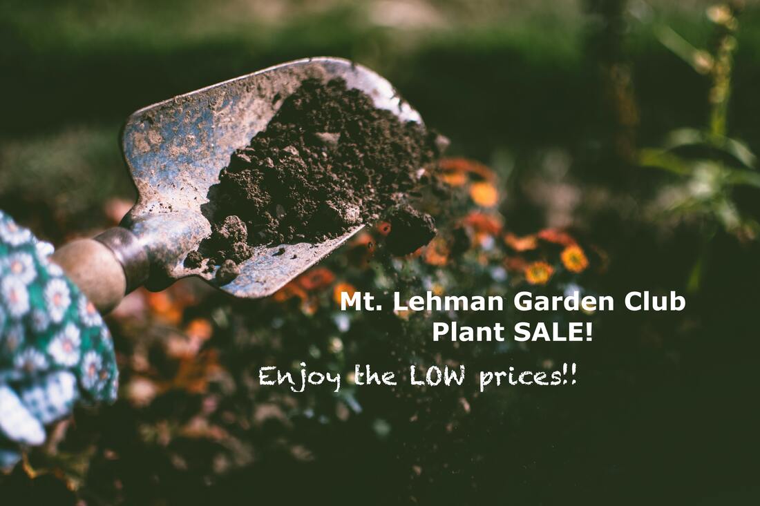 Mt Lehman Garden Club Plant Sale