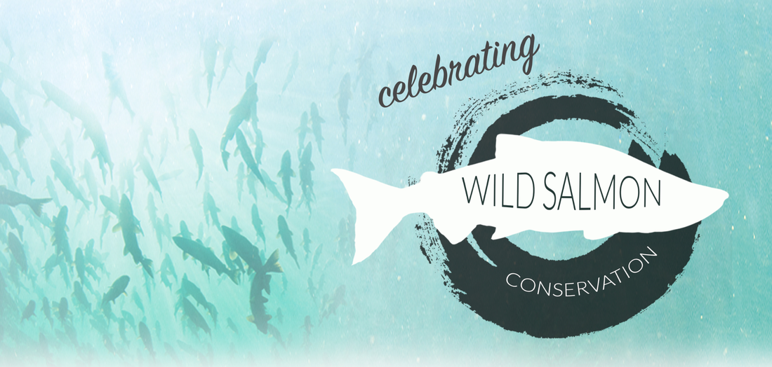 Wild Salmon Conservation
