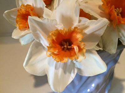 Bradner Daffodils 