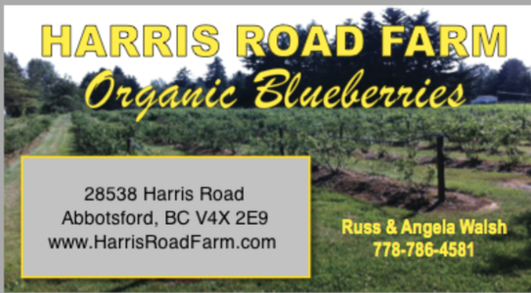 Harris Road Farm Organic Blueberries Abbotsford BC Upick 