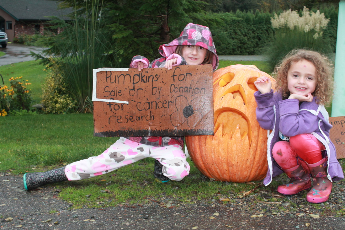 Pumpkin sale for Cancer research Bradner Barker
