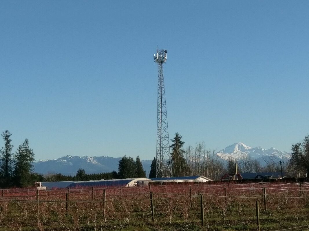 Bradner cell tower Rogers Communications