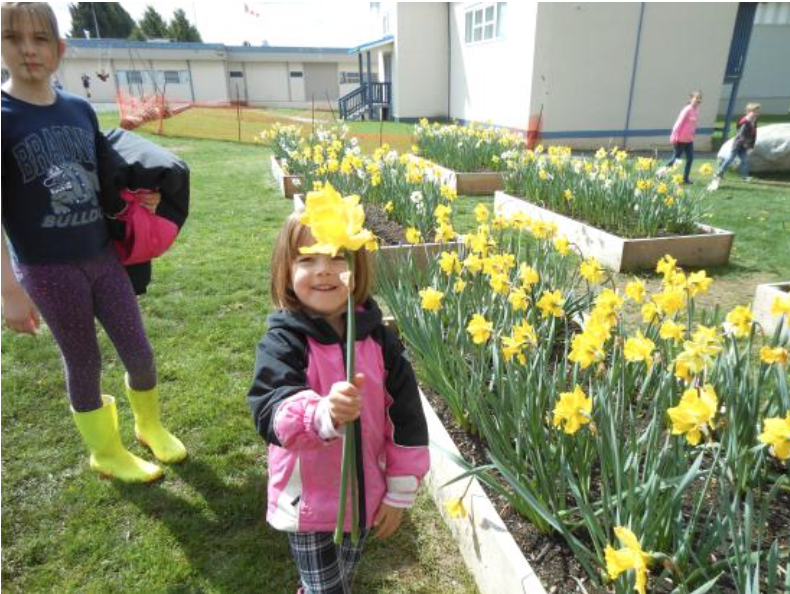 Bradner elementary students Bradner Daffodils