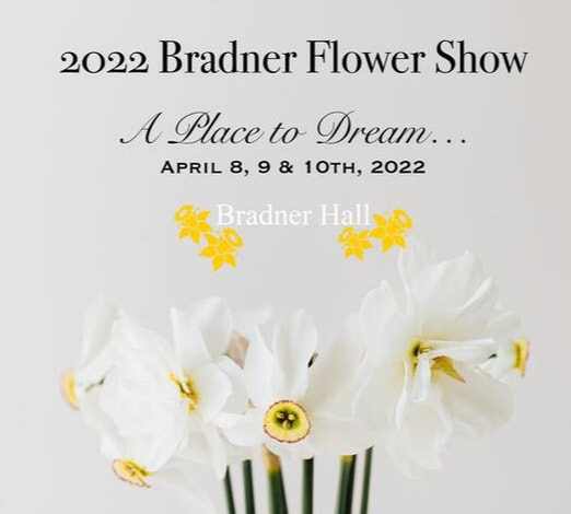 2022 Bradner Flower Show Daffodils 