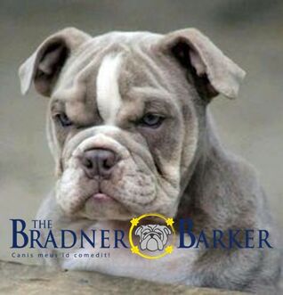 The Bradner Barker