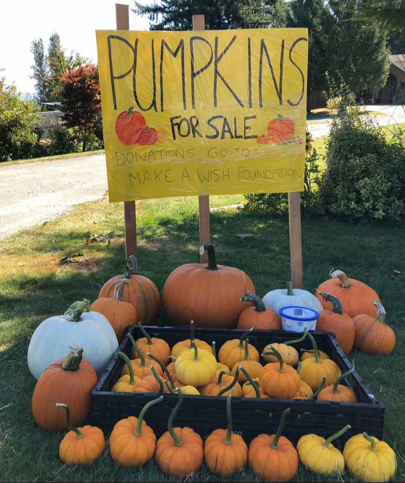Charity pumpkin sale make a wish foundation